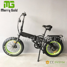 20" Folding Electric Bicycle with Hidden Battery